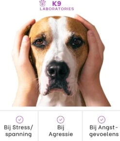K9 Laboratories Kalmte & Balans - Hond - 60 Stuks - Bij Stress, Angst En Agressie - Ashwagandha - L-tryptofaan - Passiebloem - Valeriaanwortel - Lavendel -Huisdierbenodigdheden 1023x1200