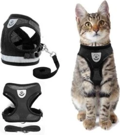 Merkloos Kattentuigje Met Looplijn | Zwart Kattenharnas | Easy Step In | Kattenriem | Kattenlijn | Kattentuig | Maat S -Huisdierbenodigdheden 1070x1200