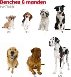 Adori Vetbed Basic - Dierendeken - Grijs - 122 X 75 Cm -Huisdierbenodigdheden 1115x1200