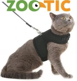 Zootic Kattentuigje Met Leiband Riem Kattenharnas Zwart Maat M Kat & Kitten - Halsomvang 20 Tot 26cm - Borstomvang 30 Tot 34cm 12 Zootic Kattentuigje Met Leiband Riem Kattenharnas Zwart Maat M Kat & Kitten - Halsomvang 20 Tot 26cm - Borstomvang 30 Tot 34cm -Huisdierbenodigdheden 1135x1200 2