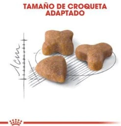 Royal Canin Sensible 33 - Kattenvoer - 10+2 Kg Bonusbag -Huisdierbenodigdheden 1149x1200 4