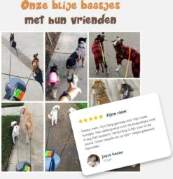 Dubbele Honden Riem – Leiband Hond – Hondenlijn – Looplijn Hond – 2 Honden – 3 Meter – Tot 12kg Per Hond – Reflecterende Lijnen – Met Zaklamp – 360° Draaien – Verstelbaar - Zwart -Huisdierbenodigdheden 1160x1200 3
