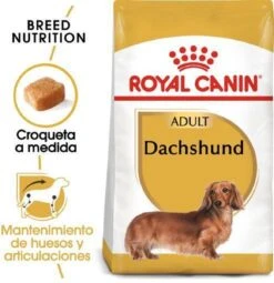 Royal Canin Dachshund/Teckel Adult 7.5 KG -Huisdierbenodigdheden 1162x1200 1