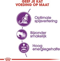 Royal Canin Sensible 33 - Kattenvoer - 10+2 Kg Bonusbag -Huisdierbenodigdheden 1178x1200 1