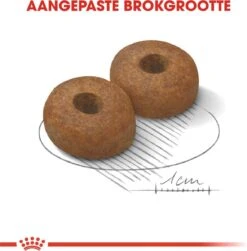 Royal Canin Maxi Ageing 8+ 15 KG -Huisdierbenodigdheden 1179x1200 2