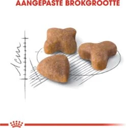 Royal Canin Sensible 33 - Kattenvoer - 10+2 Kg Bonusbag -Huisdierbenodigdheden 1185x1200 4