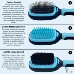 Petsify - Dierenborstel - Professionele 5 In 1 Hondenborstel - Voor Hond En Kat - Tweezijdig - Hondenkam - Kattenborstel - Kattenkam -Huisdierbenodigdheden 1198x1200