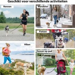 Filo Elastische Hondenriem Middel - Hardlopen En Wandelen - Hardloopriem Hond Handsfree Met Heuptasje - Looplijn Met Heupriem - Canicross Gordel Honden - Riemen - Heupgordel - Leiband -Huisdierbenodigdheden 1198x1200 5
