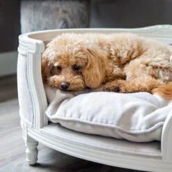 Lord Lou - George Roze Velvet S - Luxe Hondenmand - Luxe Kattenmand - 49x40x31 -Huisdierbenodigdheden 1198x1200 7