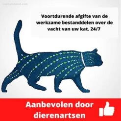 Biologische Vlooien- En Tekenband Voor Katten - BLAUW - Zonder Giftige Pesticiden - Veilig En Verantwoord 13 Biologische Vlooien- En Tekenband Voor Katten - BLAUW - Zonder Giftige Pesticiden - Veilig En Verantwoord -Huisdierbenodigdheden 1199x1200 8