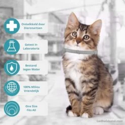 Biologische Vlooien- En Tekenband Voor Katten - BLAUW - Zonder Giftige Pesticiden - Veilig En Verantwoord 15 Biologische Vlooien- En Tekenband Voor Katten - BLAUW - Zonder Giftige Pesticiden - Veilig En Verantwoord -Huisdierbenodigdheden 1199x1200 9