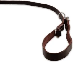 Multifunctionele Hondenriem - 220cm - Bruin - Leren Hondenriem - 100% Volnerfleer - Hondenriem Leer - Leiband Hond 19 Multifunctionele Hondenriem - 220cm - Bruin - Leren Hondenriem - 100% Volnerfleer - Hondenriem Leer - Leiband Hond -Huisdierbenodigdheden 1200x1026