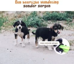 Dubbele Honden Riem – Leiband Hond – Hondenlijn – Looplijn Hond – 2 Honden – 3 Meter – Tot 12kg Per Hond – Reflecterende Lijnen – Met Zaklamp – 360° Draaien – Verstelbaar - Zwart -Huisdierbenodigdheden 1200x1035