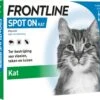 Frontline Spot-On Anti Vlooienmiddel Kat - 6 Pipetten -Huisdierbenodigdheden 1200x1057