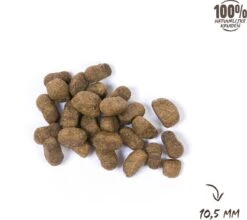 VITALstyle SPIEREN+GEWRICHTEN - Hondenbrokken - 12 Kg -Huisdierbenodigdheden 1200x1067