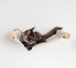 RHRQuality Wandmeubel Wandmontage Klimmuur Kat 53 X 43cm Luxe Hangmat XXL Creme Klim Wand Muur Krabpaal Katten Muurbevestiging -Huisdierbenodigdheden 1200x1080 3