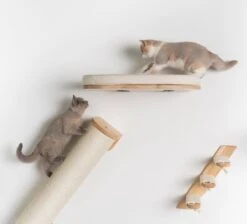 RHRQuality Wandmeubel Wandmontage Klimmuur Kat 53 X 43cm Luxe Kattenbed Creme Wand Muur Krabpaal Katten Muurbevestiging 15 RHRQuality Wandmeubel Wandmontage Klimmuur Kat 53 X 43cm Luxe Kattenbed Creme Wand Muur Krabpaal Katten Muurbevestiging -Huisdierbenodigdheden 1200x1090 1