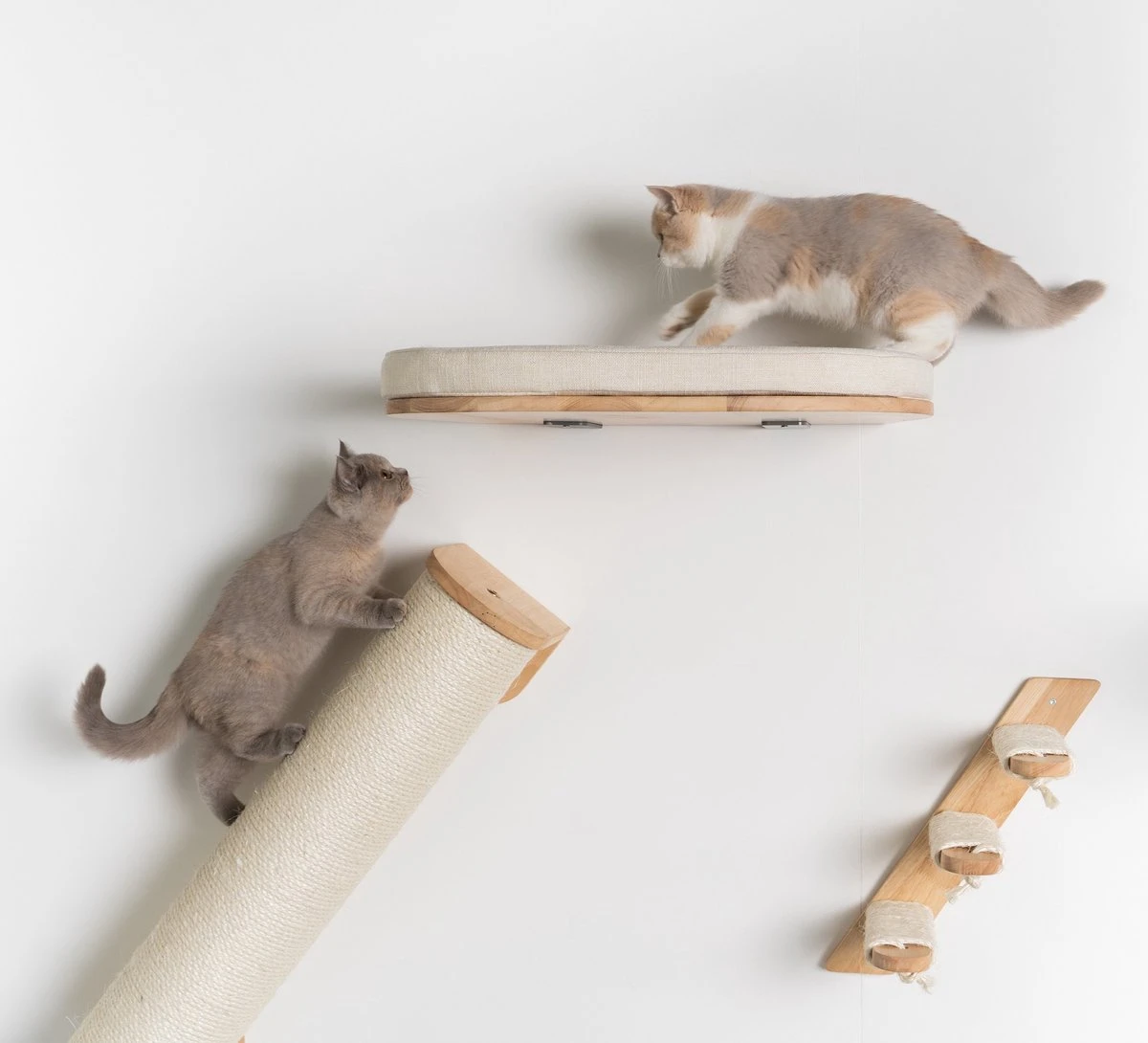 RHRQuality Wandmeubel Wandmontage Klimmuur Kat 53 X 43cm Luxe Kattenbed Creme Wand Muur Krabpaal Katten Muurbevestiging 9 RHRQuality Wandmeubel Wandmontage Klimmuur Kat 53 X 43cm Luxe Kattenbed Creme Wand Muur Krabpaal Katten Muurbevestiging - Afbeelding 7