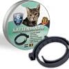 Natuurlijke Vlooienband - Katten - Zwart - Zonder Pesticiden Of Gif - Vlooien En Teken - Kattenbandje - Eco Friendly -Huisdierbenodigdheden 1200x1096 4