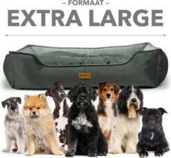 Primeplus Grote Hondenmand XL - Grijs - 100x80x20 CM - Orthopedische Hondenmanden - Hondenkussen 22 Primeplus Grote Hondenmand XL - Grijs - 100x80x20 CM - Orthopedische Hondenmanden - Hondenkussen -Huisdierbenodigdheden 1200x1114