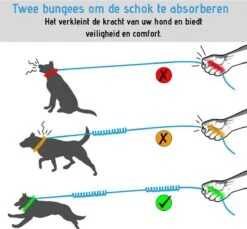 Oak's First Elastische En Diervriendelijke Looplijn Met Heupriem - Hondenriem - 150cm/210cm - Grijs 12 Oak's First Elastische En Diervriendelijke Looplijn Met Heupriem - Hondenriem - 150cm/210cm - Grijs -Huisdierbenodigdheden 1200x1114 3