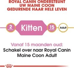 Royal Canin Maine Coon Kitten - Kattenvoer - 4 Kg -Huisdierbenodigdheden 1200x1114 8