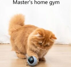 Otiume Interactieve Speelbal - Slimme Interactieve Jaag Speeltje Voor Katten - Kattenspeeltjes - Intelligente Jaagbal - AI -USB Oplaadbaar - LED - Blauw -Huisdierbenodigdheden 1200x1137 8