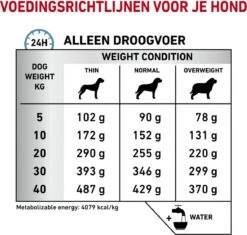 Royal Canin Hypoallergenic - Hondenvoer - 14 Kg -Huisdierbenodigdheden 1200x1142 1