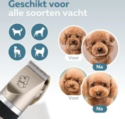 BYER Professionele Dieren Tondeuse Set - Voor Huisdieren Katten & Honden - Draadloos - Oplaadbare Pet Trimmer - Dog Tondeuze Clipper - 5 Standen & Vier Opzetkammen - Low Noise -Huisdierbenodigdheden 1200x1144 1