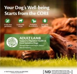 Wellness Core Grain Free Dog Adult Lam - Hondenvoer - 10 Kg -Huisdierbenodigdheden 1200x1159 2