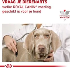 Royal Canin Hypoallergenic - Hondenvoer - 14 Kg -Huisdierbenodigdheden 1200x1161