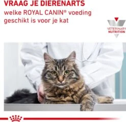 Royal Canin Gastro Intestinal Moderate Calorie Kat 12x85 Gr. -Huisdierbenodigdheden 1200x1162 5