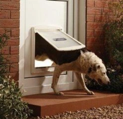 Staywell 777 Hondenluik - Large - Zilver/Tranparant -Huisdierbenodigdheden 1200x1168 3