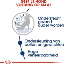 Royal Canin Maxi Ageing 8+ 15 KG -Huisdierbenodigdheden 1200x1192 1