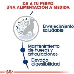 Royal Canin Maxi Ageing 8+ 15 KG -Huisdierbenodigdheden 1200x1197 4