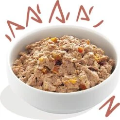 11x Edgard & Cooper Kuipje Vers Vlees Senior Hondenvoer Kip - Zalm 150 Gr -Huisdierbenodigdheden 1200x1198