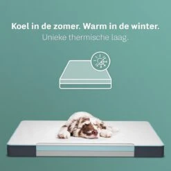 CozySense® - Orthopedisch Hondenkussen - Hondenkussen 75 X 45 Cm - Ook Geschikt Als Benchkussen & Hondenbed - Hondenkussen Bank - Traagschuim - Waterdicht - Wasbare Hoes - Maat M -Huisdierbenodigdheden 1200x1200 108