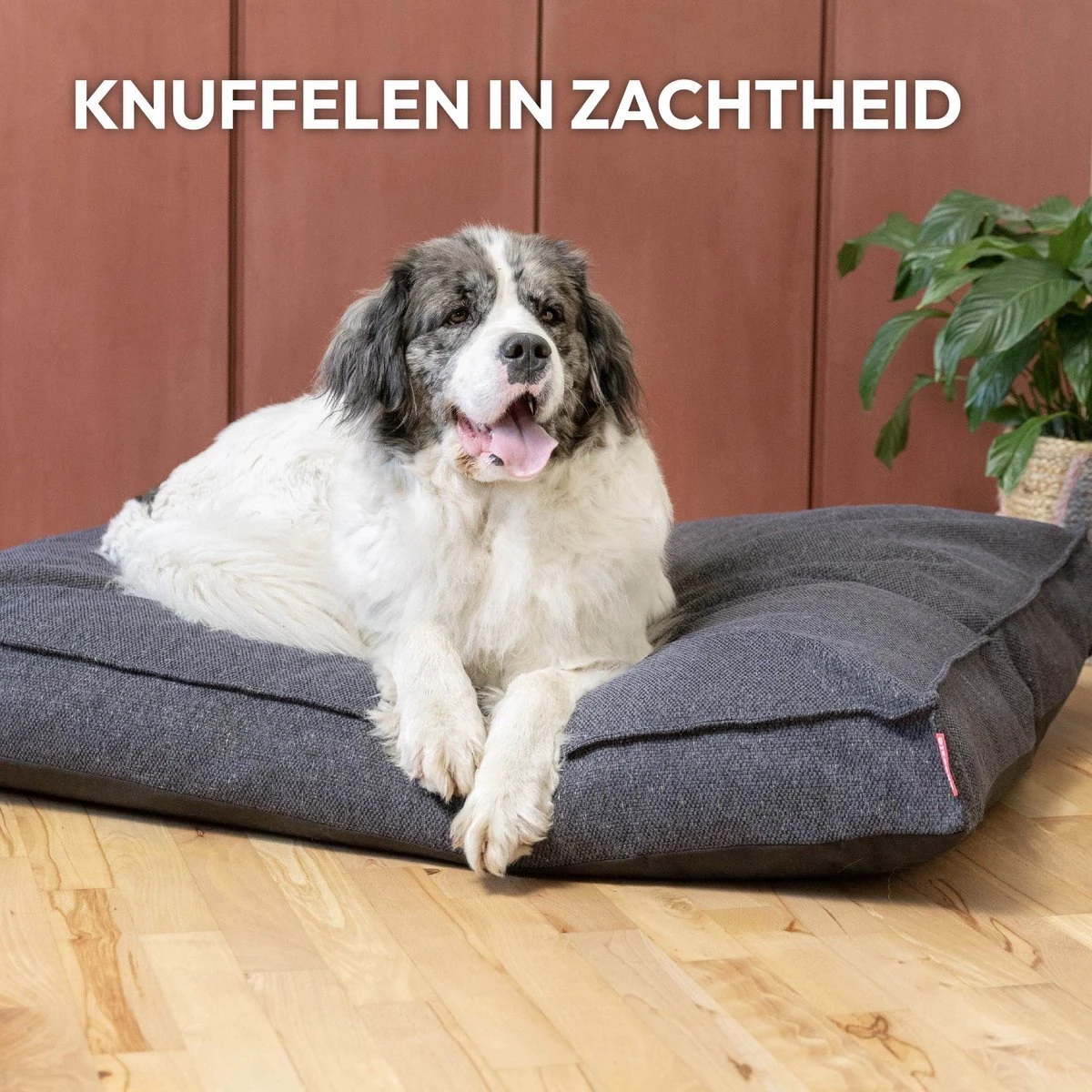 Snoozle Orthopedische Hondenmand - Zacht En Luxe Hondenkussen - Hondenbed - Wasbaar - Hondenmanden - 100 X 70 Cm - Stormy Grey 11 Snoozle Orthopedische Hondenmand - Zacht En Luxe Hondenkussen - Hondenbed - Wasbaar - Hondenmanden - 100 X 70 Cm - Stormy Grey - Afbeelding 9