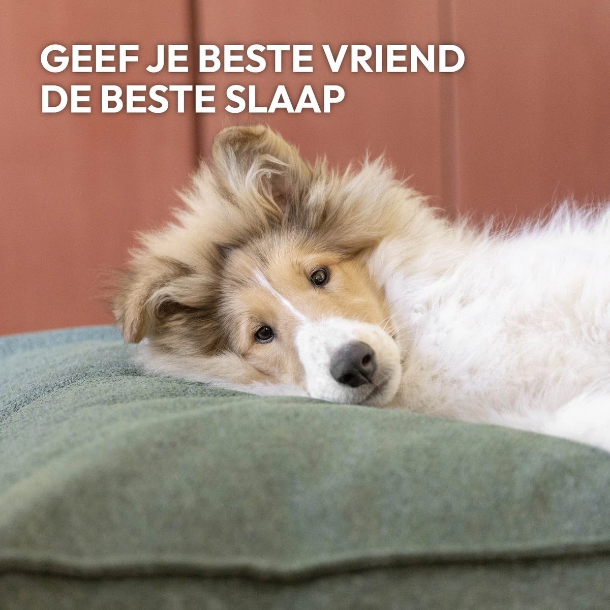 Snoozle Orthopedische Hondenmand - Zacht En Luxe Hondenkussen - Hondenbed - Wasbaar - Hondenmanden - 100 X 70 Cm - Stormy Grey 12 Snoozle Orthopedische Hondenmand - Zacht En Luxe Hondenkussen - Hondenbed - Wasbaar - Hondenmanden - 100 X 70 Cm - Stormy Grey - Afbeelding 10