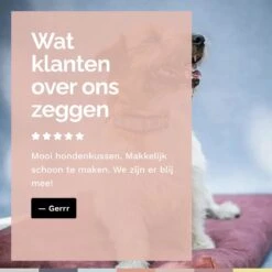 Rexproduct Hondenkussen - Hondenmand - Hondenbed Met Rits En Wasbaar - Manden & Kussens 90 X 110 CM - 0 Tot 80 Kg - SoftPet Groen -Huisdierbenodigdheden 1200x1200 146