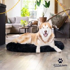 All 4 Pets Supply® Hondenmand Donut - Maat XL - Geschikt Voor Honden Tot 100 Cm - Hondenkussen - Zwart -Huisdierbenodigdheden 1200x1200 165