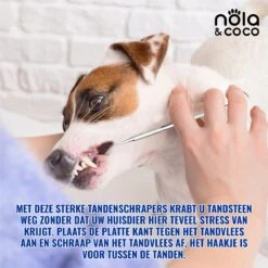Nola & Coco® Tandsteen Verwijderaar Set Inclusief Bewaardoosje - Tandenkrabber - Set Van Twee - Hond - Kat - Tandenborstel - Tandplak Verwijderen - Tandenstoker - Honden Tanden Schoonmaken - Tandenhaakje - Gebitsreiniging -Huisdierbenodigdheden 1200x1200 179
