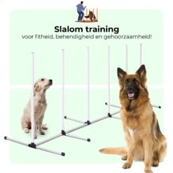 AYOO Agility Voor De Hond - Honden Training - Honden Behendigheid Set - Hondenparcours - Training Huisdieren - Honden Agility Set - Slalom - Horde - Draagzak - Agility Set - Oranje - Wit - GRATIS Speeltouw -Huisdierbenodigdheden 1200x1200 200