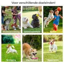 AYOO Agility Voor De Hond - Honden Training - Honden Behendigheid Set - Hondenparcours - Training Huisdieren - Honden Agility Set - Slalom - Horde - Draagzak - Agility Set - Oranje - Wit - GRATIS Speeltouw -Huisdierbenodigdheden 1200x1200 201