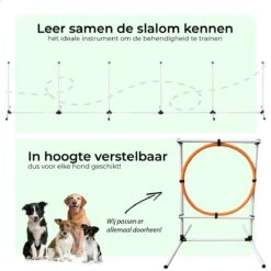 AYOO Agility Voor De Hond - Honden Training - Honden Behendigheid Set - Hondenparcours - Training Huisdieren - Honden Agility Set - Slalom - Horde - Draagzak - Agility Set - Oranje - Wit - GRATIS Speeltouw -Huisdierbenodigdheden 1200x1200 202