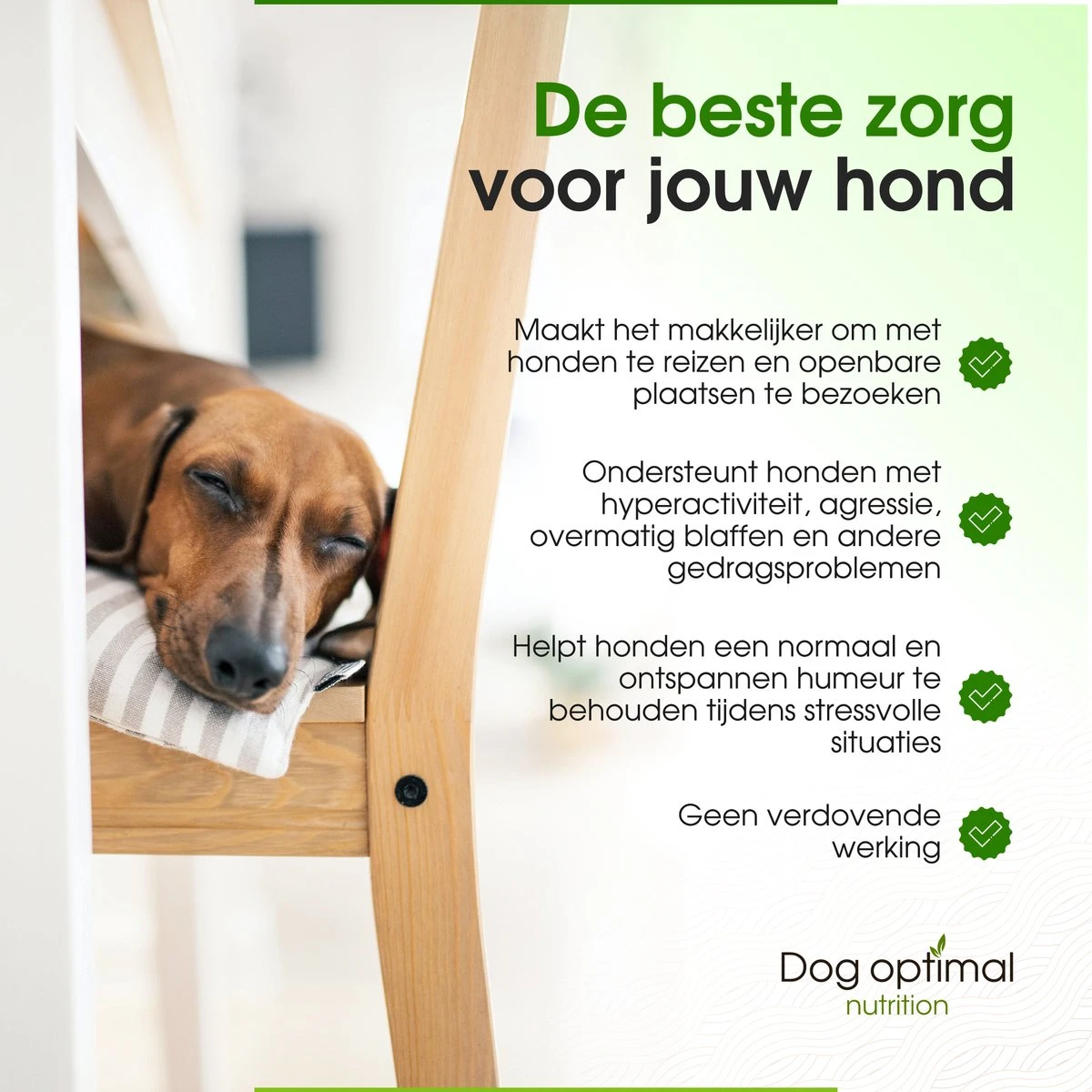 RUST EN KALMEREN CALMING Support 120 Stuks - Kalmeren - AntistressmiddelHond - Hond - Hondenkoekjes - Hondensupplementen - Honden - Puppy - Hondenvoeding 6 RUST EN KALMEREN CALMING Support 120 Stuks - Kalmeren - AntistressmiddelHond - Hond - Hondenkoekjes - Hondensupplementen - Honden - Puppy - Hondenvoeding - Afbeelding 4