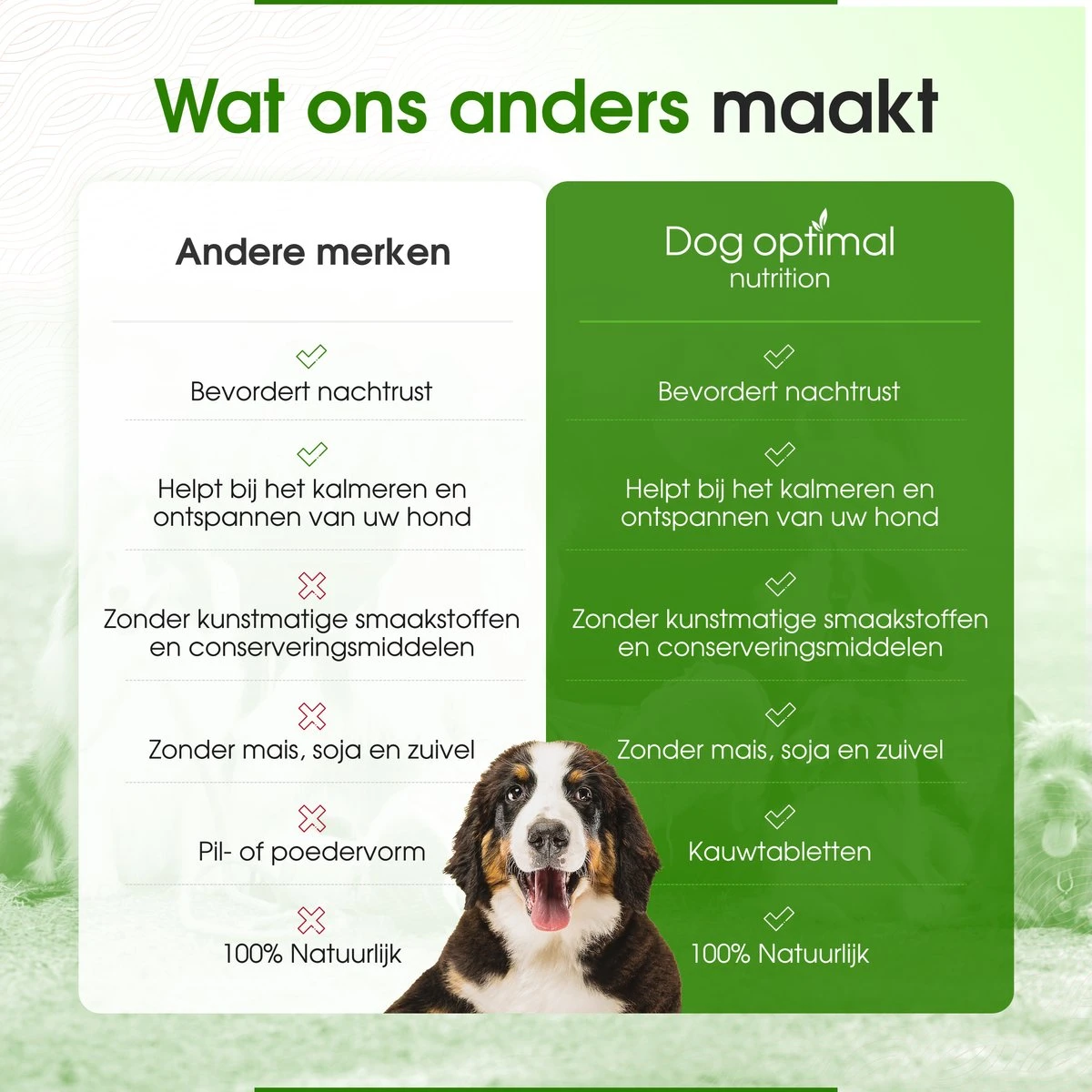 RUST EN KALMEREN CALMING Support 120 Stuks - Kalmeren - AntistressmiddelHond - Hond - Hondenkoekjes - Hondensupplementen - Honden - Puppy - Hondenvoeding 7 RUST EN KALMEREN CALMING Support 120 Stuks - Kalmeren - AntistressmiddelHond - Hond - Hondenkoekjes - Hondensupplementen - Honden - Puppy - Hondenvoeding - Afbeelding 5