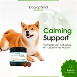 RUST EN KALMEREN CALMING Support 120 Stuks - Kalmeren - AntistressmiddelHond - Hond - Hondenkoekjes - Hondensupplementen - Honden - Puppy - Hondenvoeding 15 RUST EN KALMEREN CALMING Support 120 Stuks - Kalmeren - AntistressmiddelHond - Hond - Hondenkoekjes - Hondensupplementen - Honden - Puppy - Hondenvoeding -Huisdierbenodigdheden 1200x1200 214