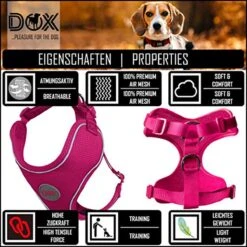 DDOXX Hondenharnas, Reflecterend, Verstelbaar, Breakaway | Borstharnas Voor Klein, Middelgroot | Hondenharnas Hond Kat Puppy Auto | Kattenharnas Puppy Harnas | Roze Roze, S -Huisdierbenodigdheden 1200x1200 225