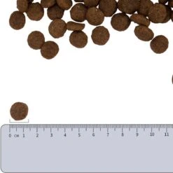 Vetality Hypoallergenic Hondenvoer - 10 Kg -Huisdierbenodigdheden 1200x1200 241